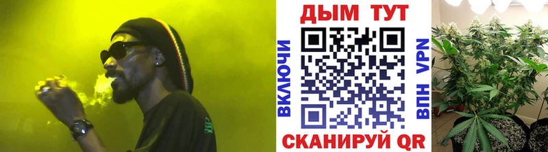 Бошки Шишки MAZAR Трубчевск